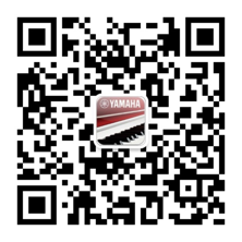 国际代言 全国甄选键盘达人 ——首届人生就是搏电子键盘比赛正式启动